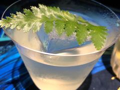 -SPEYSIDE 威士忌&鸡尾酒吧