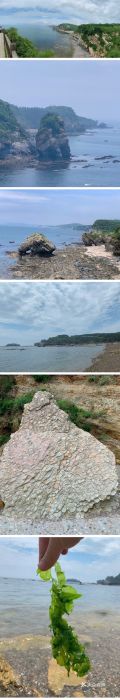 大连金石滩滨海国家地质公园图片