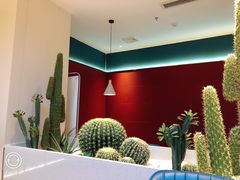 -悦海·家宴·冰花皮皮虾大锅贴(宝龙店)