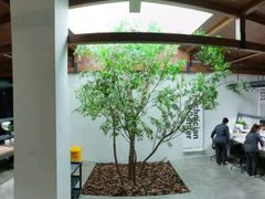 -极简口腔(总院)