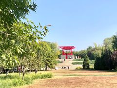 -大望京公园
