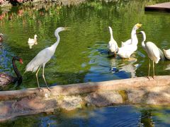 -海南热带野生动植物园