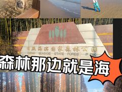 -日照海滨国家森林公园