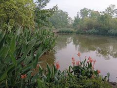 -桤木河湿地公园