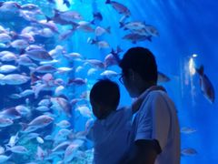 -成都浩海立方海洋公园