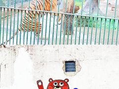 -广州动物园