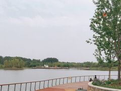 -东郊湿地公园
