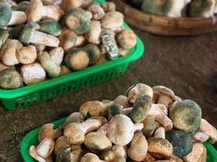 -五里多农博广场