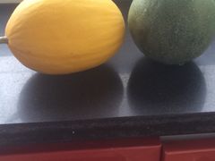 -万源龙顺度假庄园生态观光园