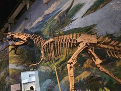-自贡恐龙博物馆