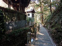 -十八棵（老龙井）御茶园(老龙井店)