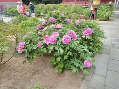 -大钟寺古钟博物馆