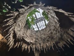 -南山植物园