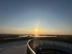 -盐城丹顶鹤湿地生态旅游区