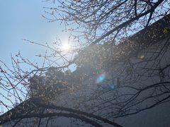 -胡雪岩故居