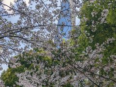 -陆家嘴中心绿地