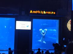 -太平洋海底世界