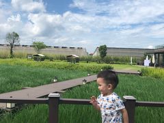 -禾悦庄餐厅