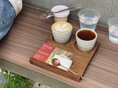 -Again Coffee Roaster(香蜜湖店)