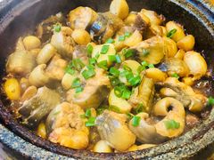 石锅鳗鳞鱼-隆喜元鱼汤包·海鲜(中联广场店)