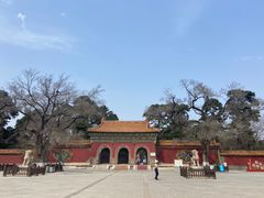 -沈阳市东陵公园