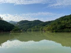 -广州白江湖森林公园