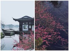 -杭州植物园