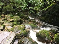 -陕西省红河谷森林公园