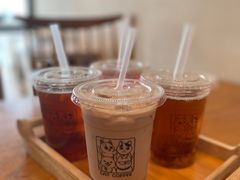 -猫小主咖啡·猫咖cat cafe(福田店)