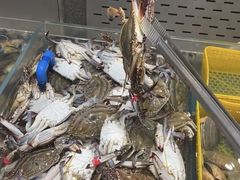 -半岛听涛蒸汽海鲜自助(K11店)