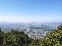 -梧桐山风景名胜区