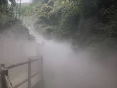 -川西竹海景区