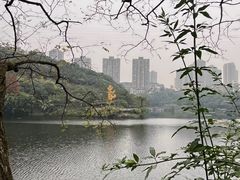 -重庆彩云湖湿地公园