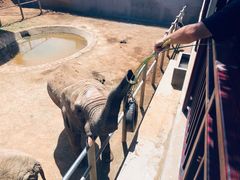 -西霞口神雕山野生动物世界