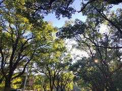 -岳麓山风景名胜区