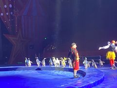 -珠海横琴长隆《卡卡虎奇遇记》