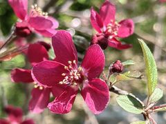 -海棠花溪(元大都城垣遗址公园)