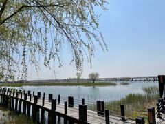-苏州太湖湖滨国家湿地公园