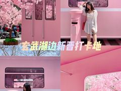 -金茂览秀城