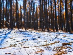 -塞罕坝国家级自然保护区