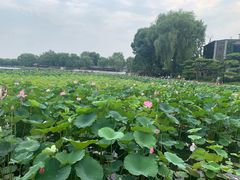 -郭守敬纪念馆