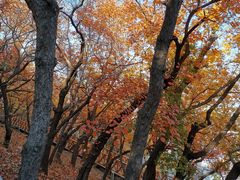 -长辛店二七公园