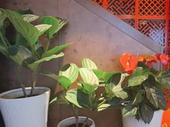 -喜湘宴·精致湖南菜(和平西桥店)