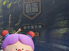 -梭布垭石林景区