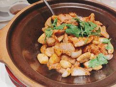 -院里寻菜·精致庭院菜(观沙岭店)