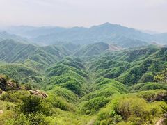 -六里坪国家森林公园