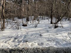 -华山风景名胜区