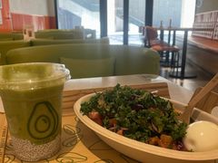 -油梨树 AVOCADO TREE(亮马桥店)