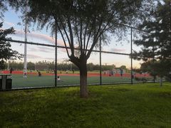 -瀛海足球主题公园