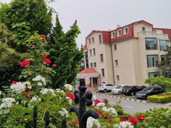 -八大关景区